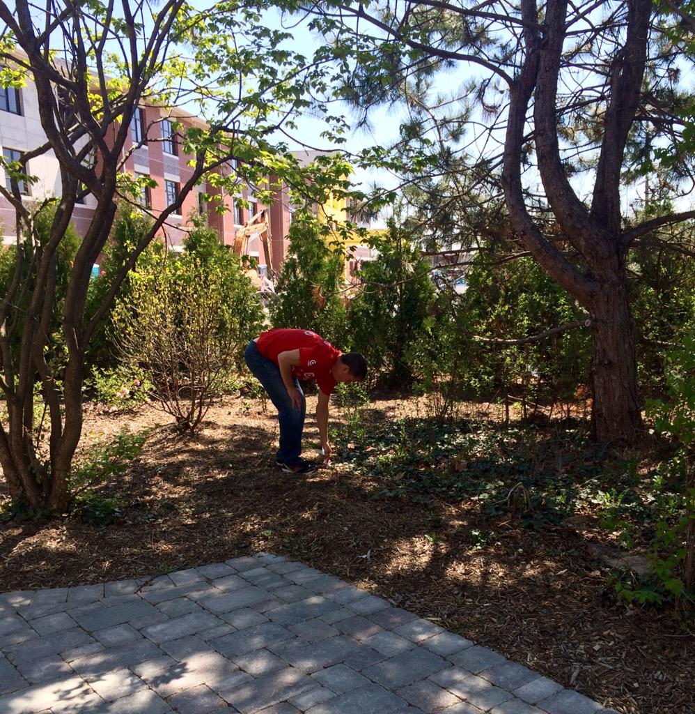 rachkane__'s tweet photo. Bill's helping in the garden? #R100Dos @cdoug4 @sgrashoff @billhall43220 http://t.co/uDCcmcKmi7
