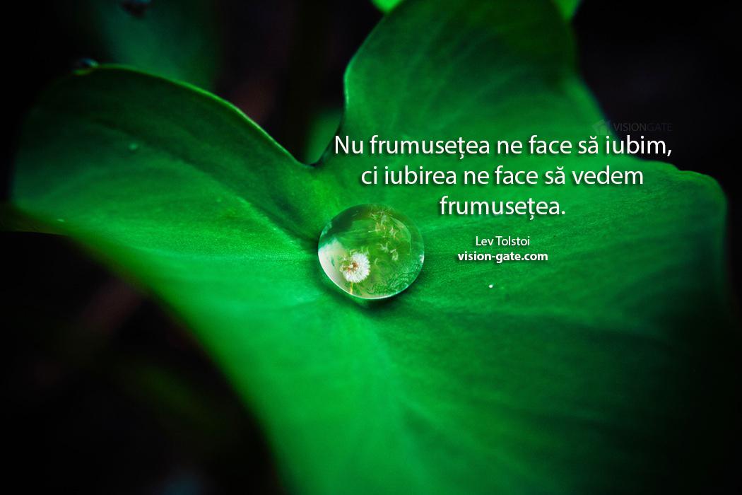 Vision_Gate's tweet image. Iubește planeta și fă-o mai frumoasă! P.S.  Adună ce lași în urmă de 1 MAI!