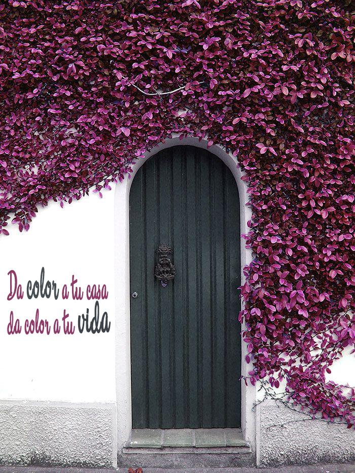 Creatuaire's tweet photo. os dejamos una forma de dar energía y positividad a tu ambiente con COLOR, nuevo post en: http://t.co/Cn3PRXyEF5 http://t.co/FSqytvLkTd
