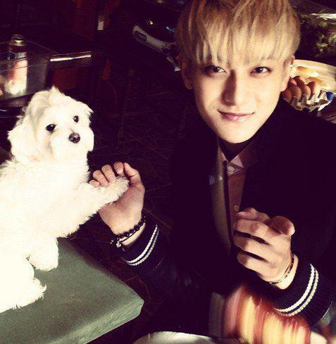  Happy birthday to the always incredible Huang Zitao! May you forever be happy and healthy, Taozi. <3 