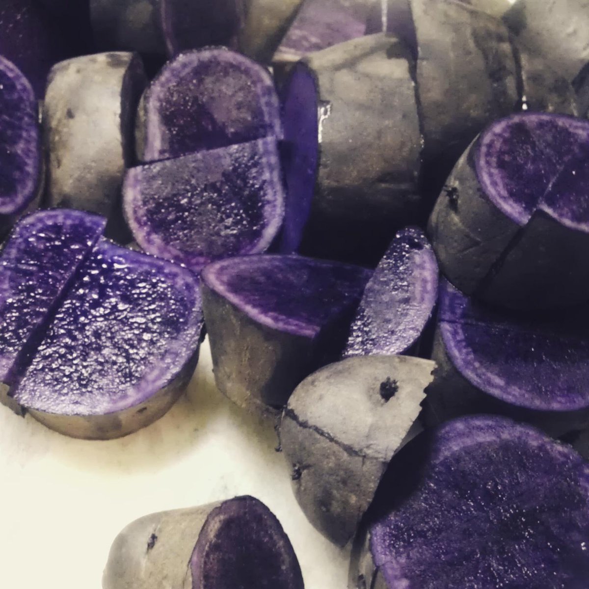 TuthillHouse's tweet photo. #purplepotatoes #farmfresh #hudsonvalley #peruvianpurplepotatoes http://t.co/saMcf3kABo
