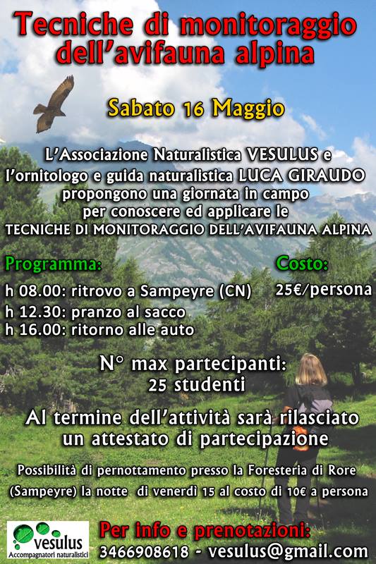 Vesulus's tweet photo. Escursioni in natura per universitari : avifauna alpina, fitoalimurgia e molto altro! http://t.co/Z5TaudGE2H
@unito http://t.co/zA6VI4nEUh