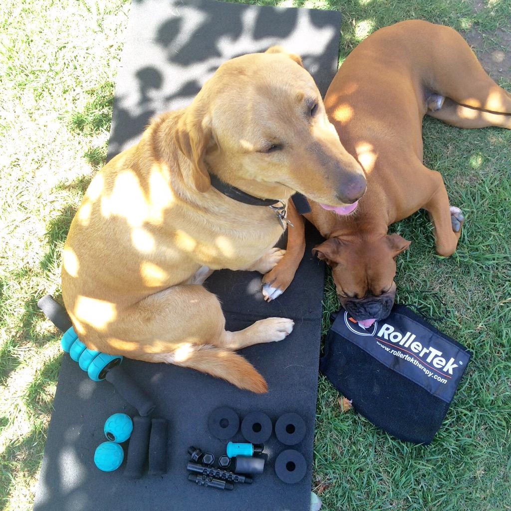 IrongirlNadia's tweet photo. Thank you @RollerTek! Happy athlete. Happy dog. #rollertek http://t.co/J6x8gRtA5H http://t.co/77rhItMtmi