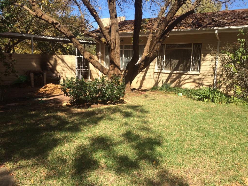 I used to love Autumn until the autumn leaves became MY problem.