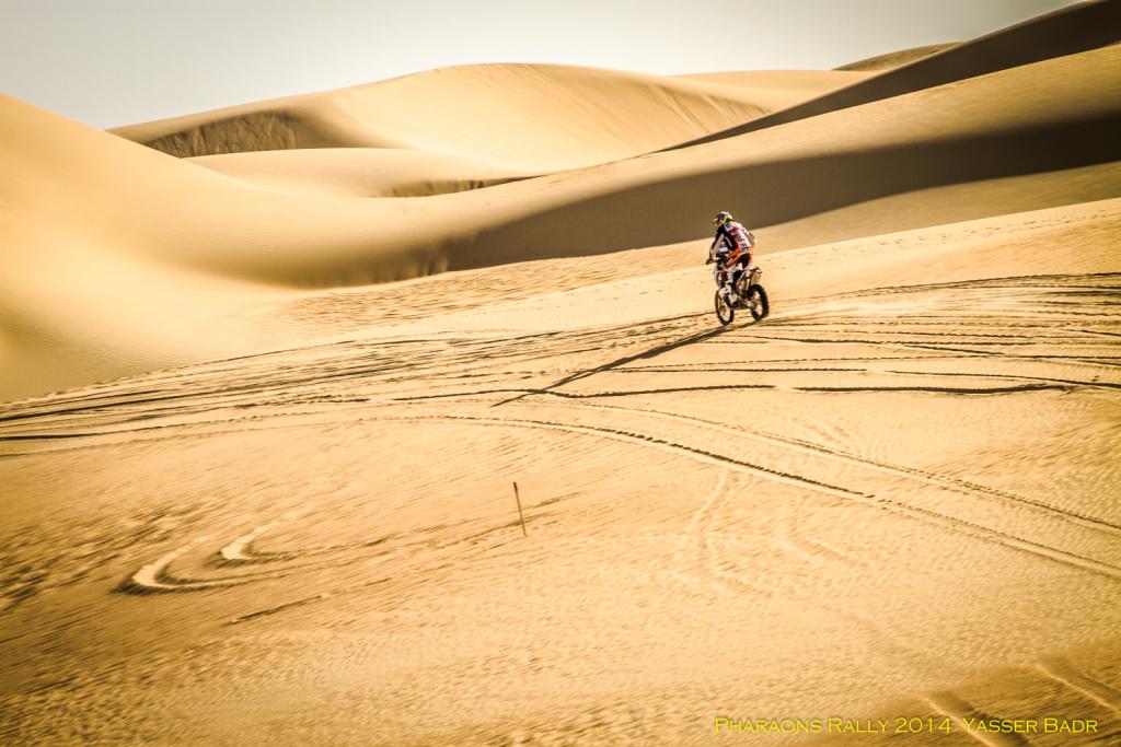 PHARAONS_RALLY's tweet photo. #Pharaons2015: the countdown has started!! https://t.co/8jhLfISgNU http://t.co/Rinm3li5X8