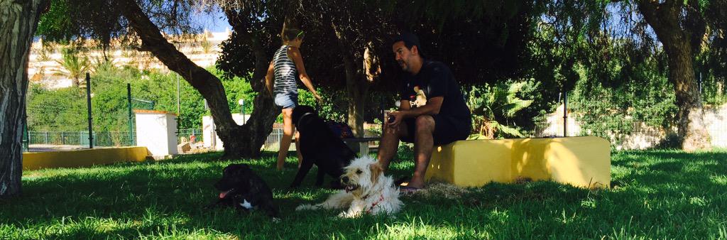 petradhd's tweet photo. Dog park. 🎩☀️🐩🐕🐶🐺🌴 #GreatDay #Jandia #MakingFriends http://t.co/335mZX0cxq
