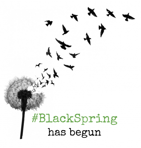#BlackSpring protests May 2