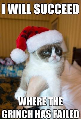 SantaClausAHS15's tweet photo. not in my house cat http://t.co/42VfzFVpYN
