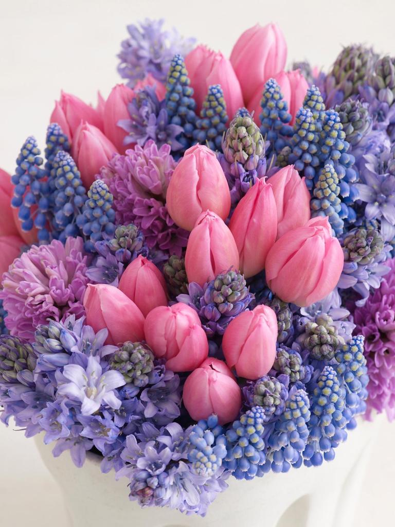 tatteredpages's tweet photo. #HappyBeltane flowers from my amazing hubs. @bakinggent @wineandsudoku In #bisexualpride colors too! 💙💕💜 http://t.co/hYHwKe5VSt