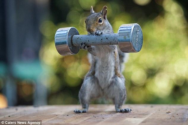 Another day at the gym.  I must be nuts!