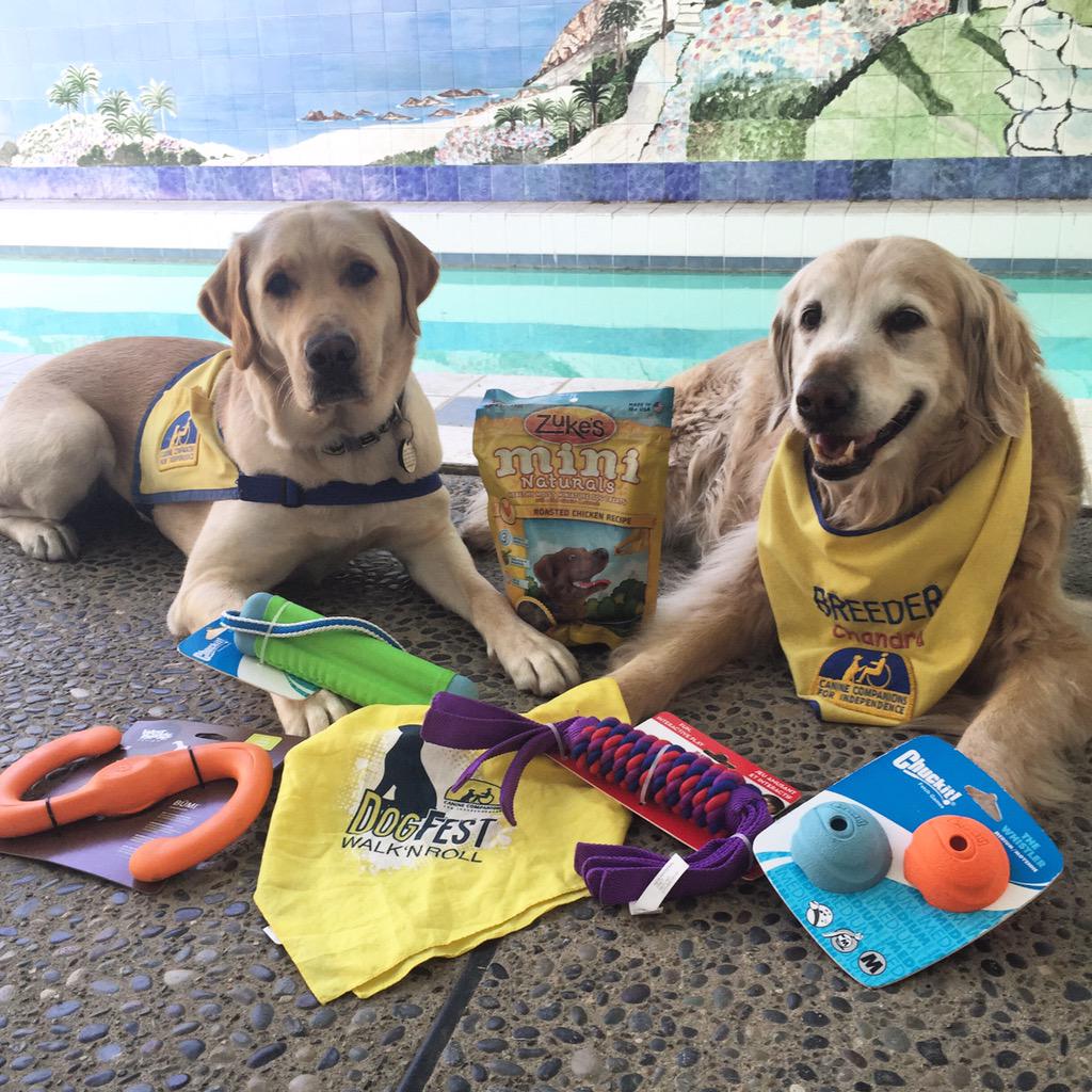 Donate $5 to my Dog Fest team to be entered to win these toys/treats! cci.org/dogfestgreater… #DogFest #DogFestSac