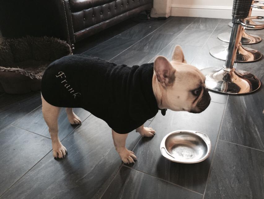 victay2's tweet photo. @homestylemaguk Frank loves his personalised dressing gown! Thanks http://t.co/im9iYcHFdf