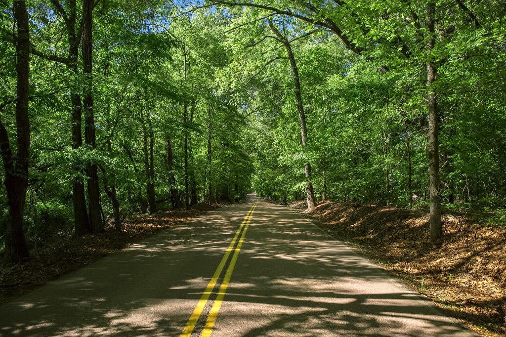 TimSimpson's tweet photo. I've been trying for years to get a photo that did justice to this road. Today I actually succeeded! http://t.co/gzVZyDseC9