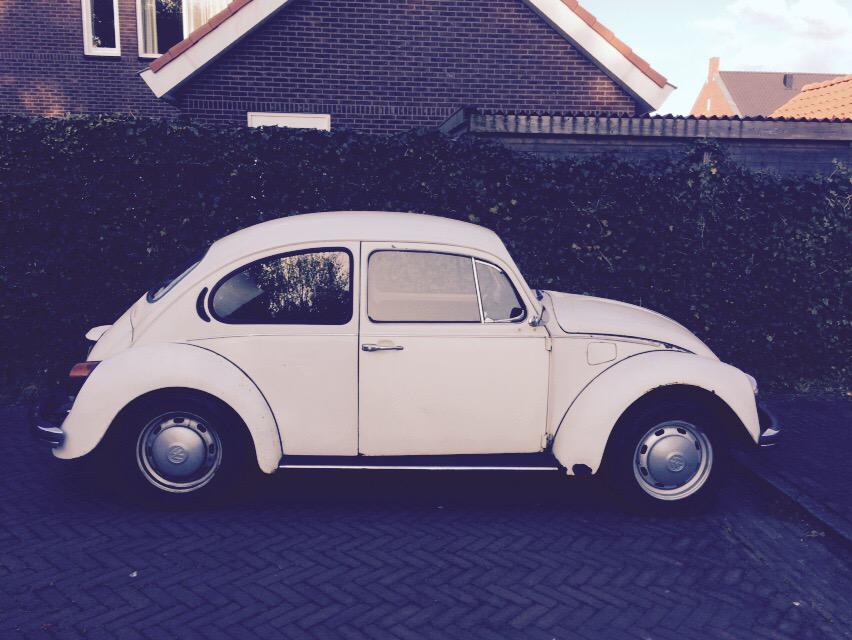 Kever te koop. Dm voor details. Prijs 1250