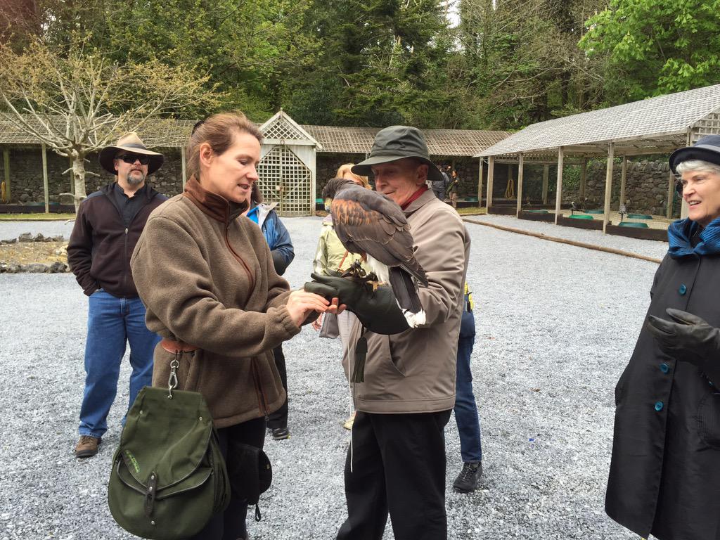 InsightShona's tweet image. Falconry at ASHFORD Castle #InsightMoments