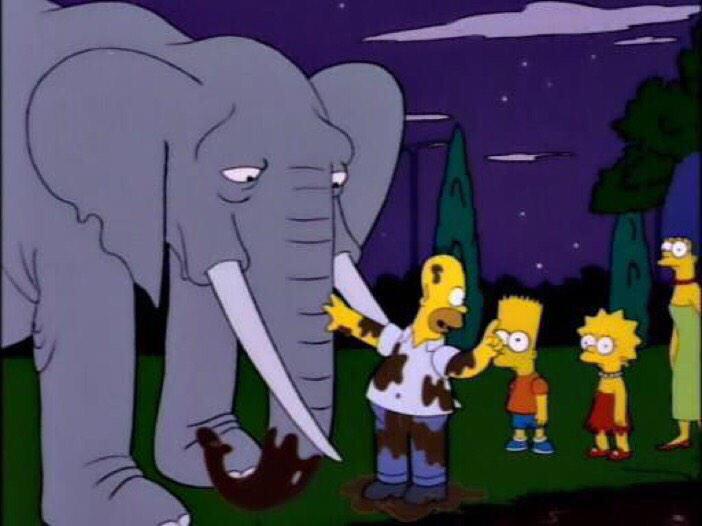 dfmasters's tweet photo. “: I’m alive! And I owe it all to this feisty feline."
"Dad, ‘feline’ means cat.
"Elephant, honey, it’s an elephant."http://t.co/PY41XbWjgS”