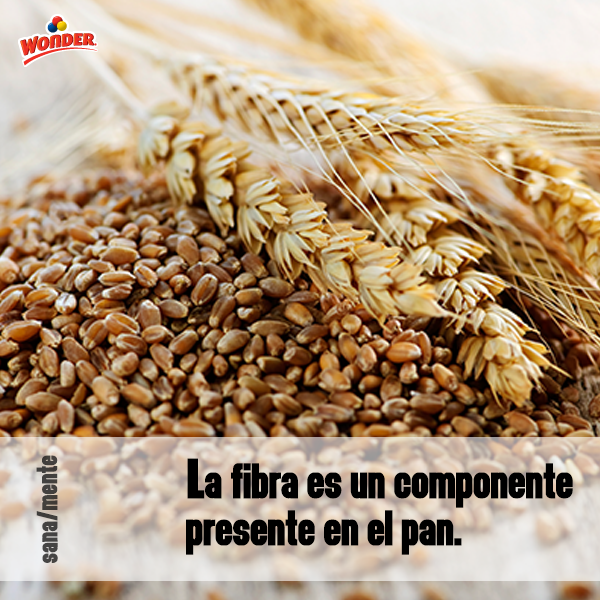 WonderMexico's tweet photo. En la actualidad las máquinas cortadoras de pan son muy eficientes y seguras. http://t.co/A6nReDMsGp