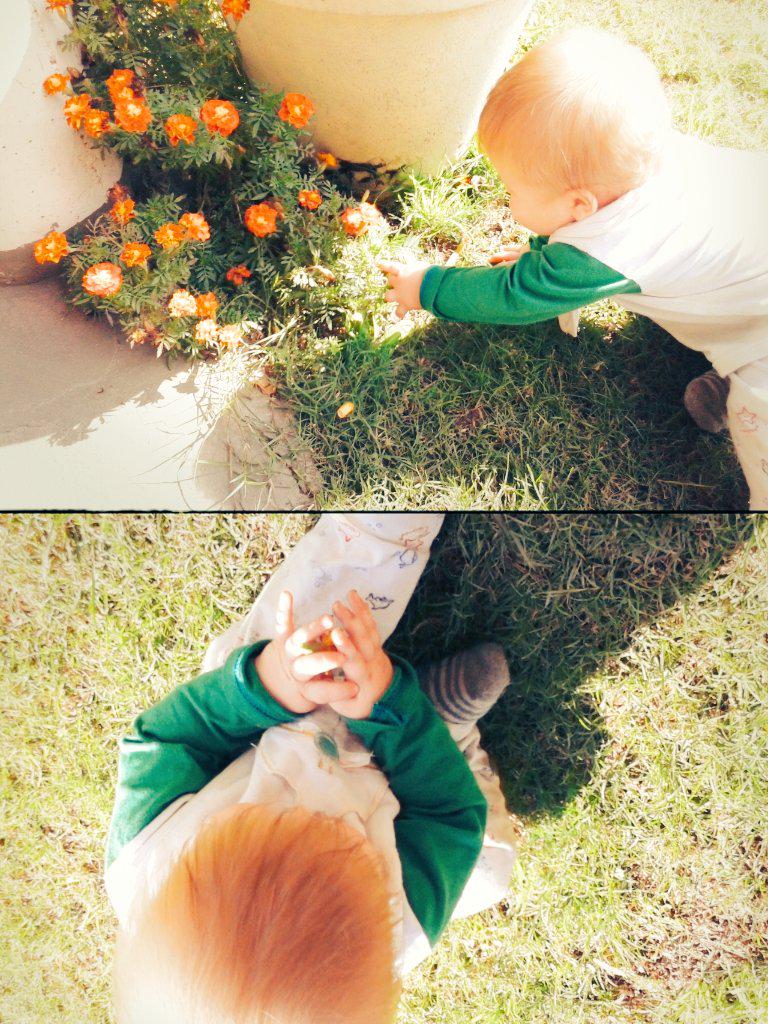 lulibernio's tweet photo. Me encantan las flores mami !!! AMI TAMBIÉN HIJITO JAJA♥ http://t.co/0Mh8EeHb8z