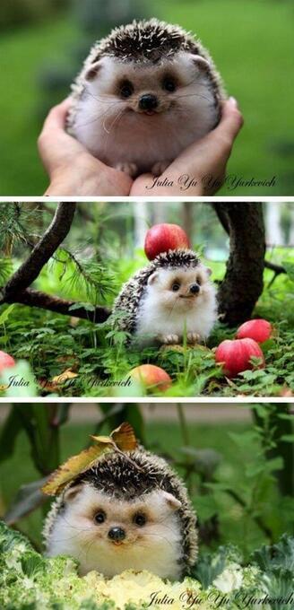 _Paisajes_'s tweet photo. Tan feliz! http://t.co/n0siqFALtd