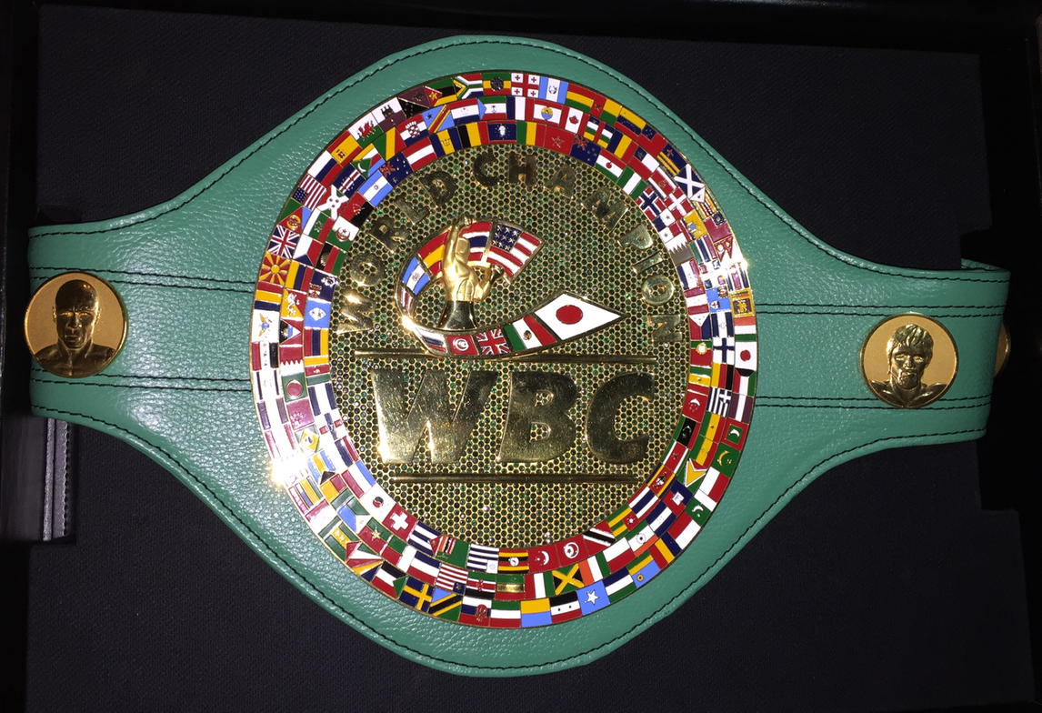 What floyd & manny are fighting for the new 1 million wbc belt w