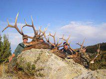 $1995 Elk hunt in Southern Colorado!!! Lots of animals, 70,000 acres private land.