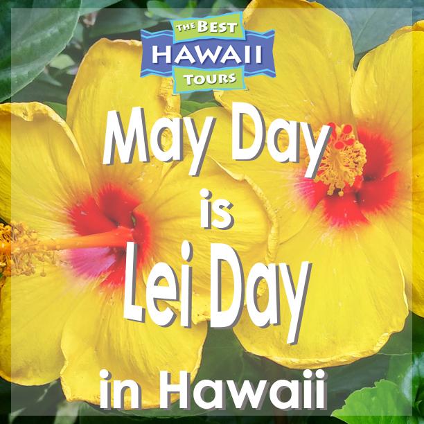 BestHiTours's tweet photo. The annual #LeiDay Celebration celebrates the lei &amp; skill &amp; artistry of Hawaii's lei makers &amp; honors Hawaiian culture http://t.co/lTjgPriUrx