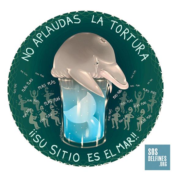 AnimaNaturalis's tweet photo. ¡No asistas a espectáculos con animales! Su lugar es el mar. RT y FIRMA >> http://t.co/6Vj8UgnVVZ http://t.co/ZnpTuQeNdc