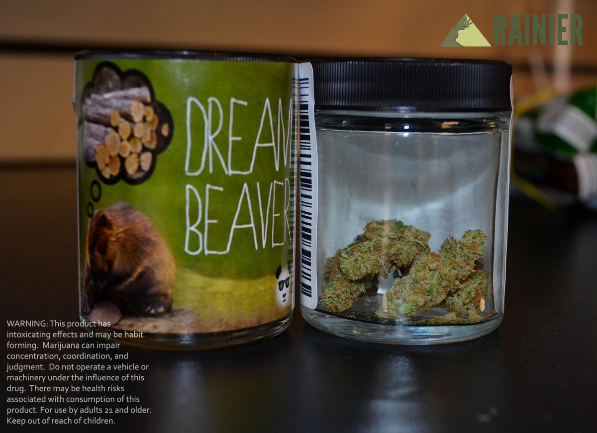 NEW STRAIN at #RainieronPine -DreamBeaver from @GrowOpFarms is 26.3% THC and a SUPER #sativa :D #I502 #WeedEnergy
