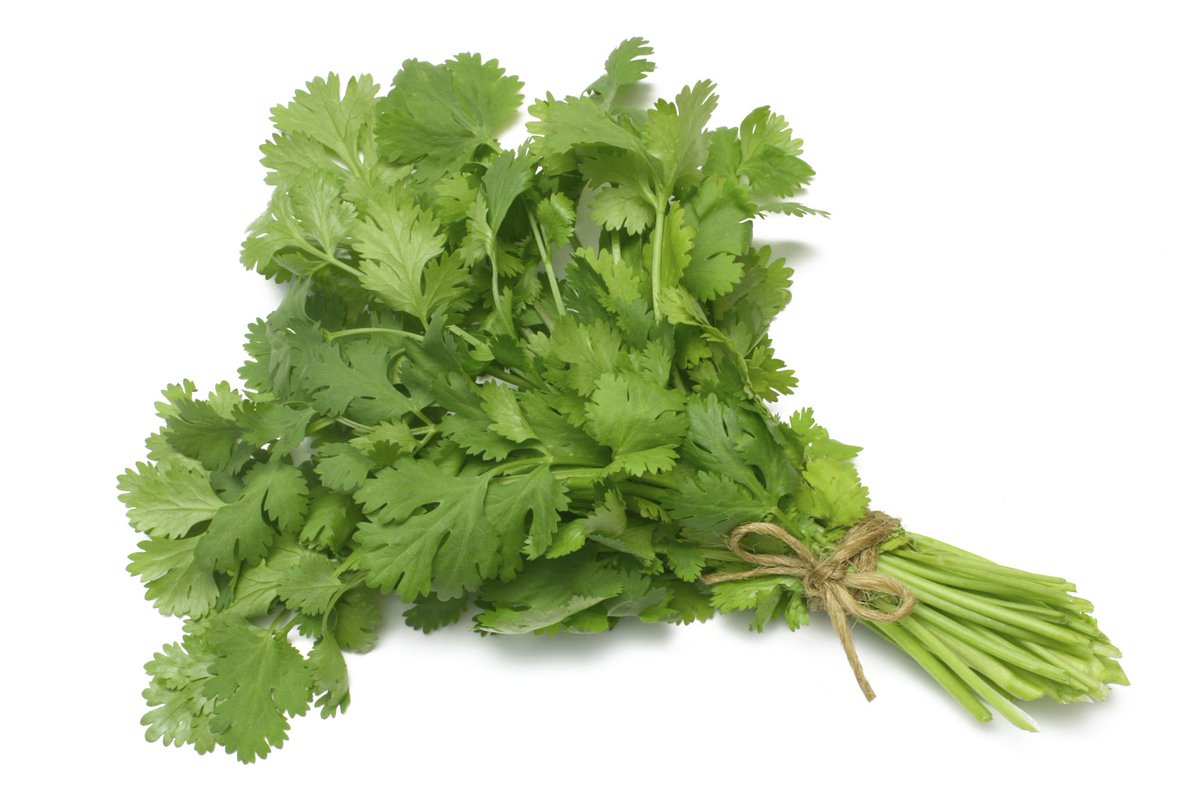 "<a href="/ClevelandClinic/">Cleveland Clinic</a>: Hate cilantro? The answer may be in your genes: cle.clinic/1zkLIPa " - not possible! ♡ cilantro