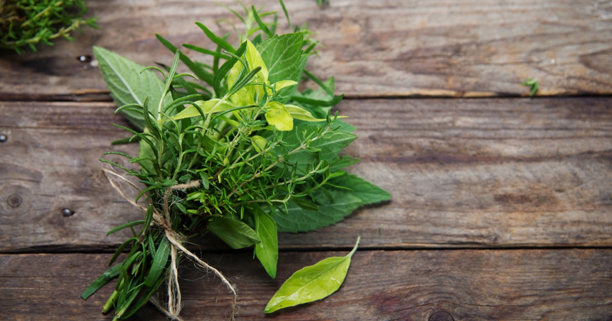 smc_RE's tweet photo. Give mom something tasteful and tasty this Mother's Day - a DIY Mason jar herb garden: https://t.co/QoII626ol6 http://t.co/ZCnlgb9d4U
