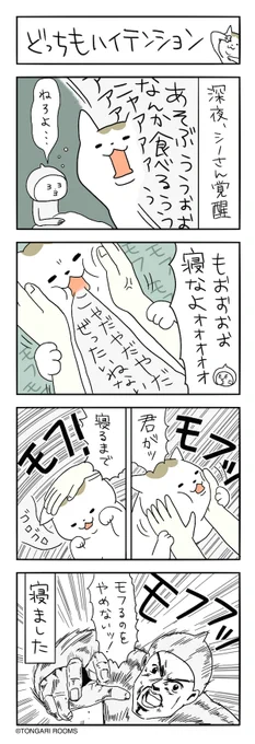 猫まんが。 