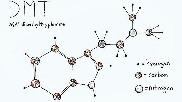 xniversxl's tweet photo. the spirit molecule http://t.co/U3KSWZEeUs