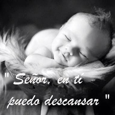 Bibliaenlinea's tweet photo. SEÑOR te entrego mis sueños, mis miedos, mi vida. Puedo dormir confiadamente porque se que Tu estas en mi mañana. 🙏 http://t.co/Rr8s50hjO9