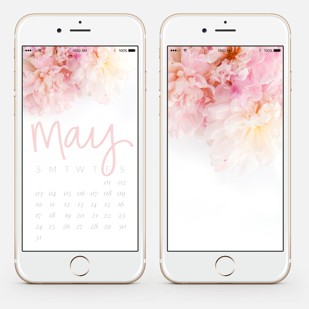 meganminnsking's tweet photo. Need a new wallpaper for your computer or phone? Grab my new May 2015 one here: http://t.co/UNBBaFTINX #mmdesigns http://t.co/HU9yFZ7aOh