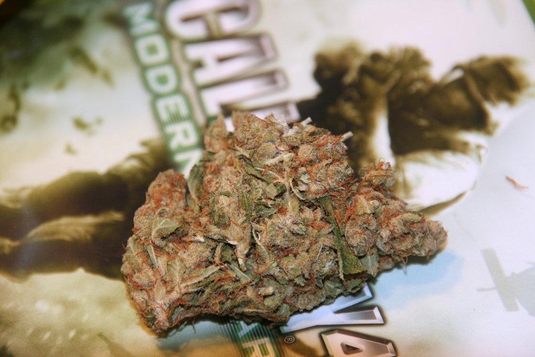 GanjaToke's tweet photo. Toke of Duty!!    #TokeOrDie http://t.co/x4uKHClSds