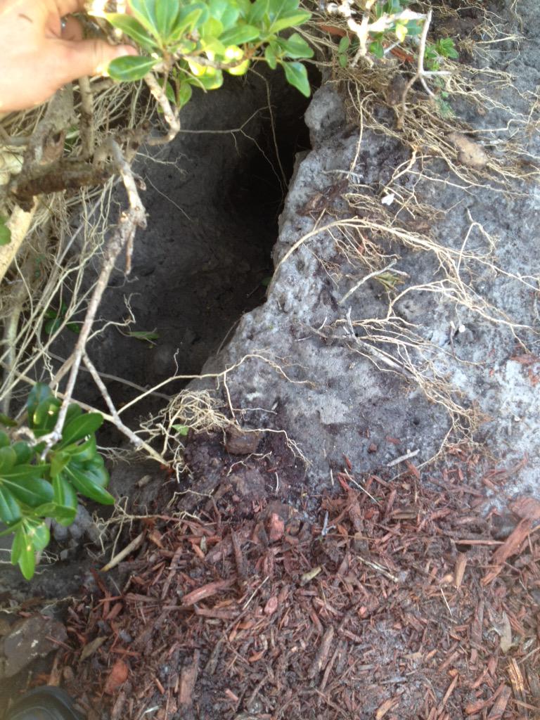 PMKWoodworking's tweet image. "HAPPY FRIDAY!" from the hydrant inspectors @CityofTampa water dept. clean up your mess!!! #governmentwork #lazyasses