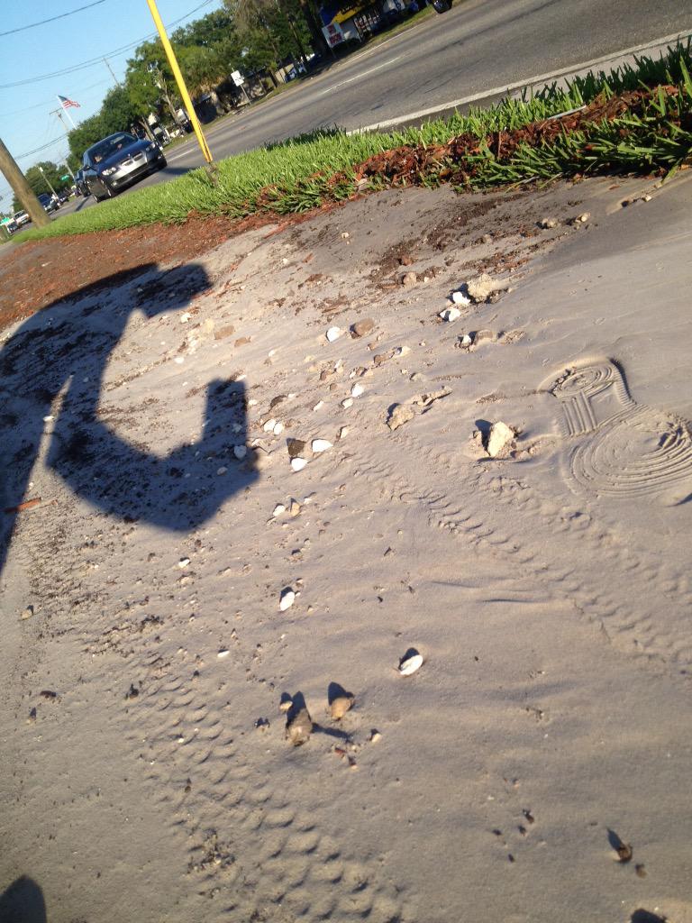 PMKWoodworking's tweet image. "HAPPY FRIDAY!" from the hydrant inspectors @CityofTampa water dept. clean up your mess!!! #governmentwork #lazyasses