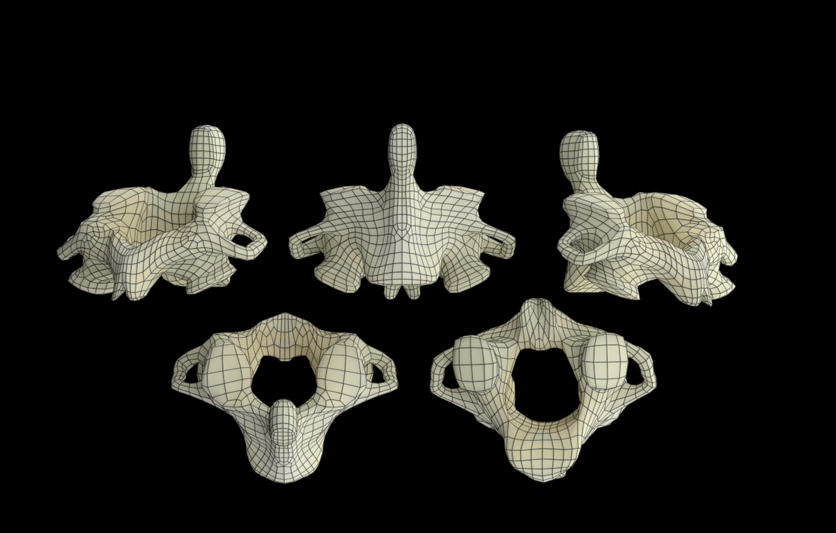 kickstartbuzz's tweet photo. #3DPH #STEM http://t.co/IuAEPhShZE #lean but hit 3 micro-fund goals #FTW! #weekendblastoff @katie_3d_bio+more soon! http://t.co/uv2h7rHrDI