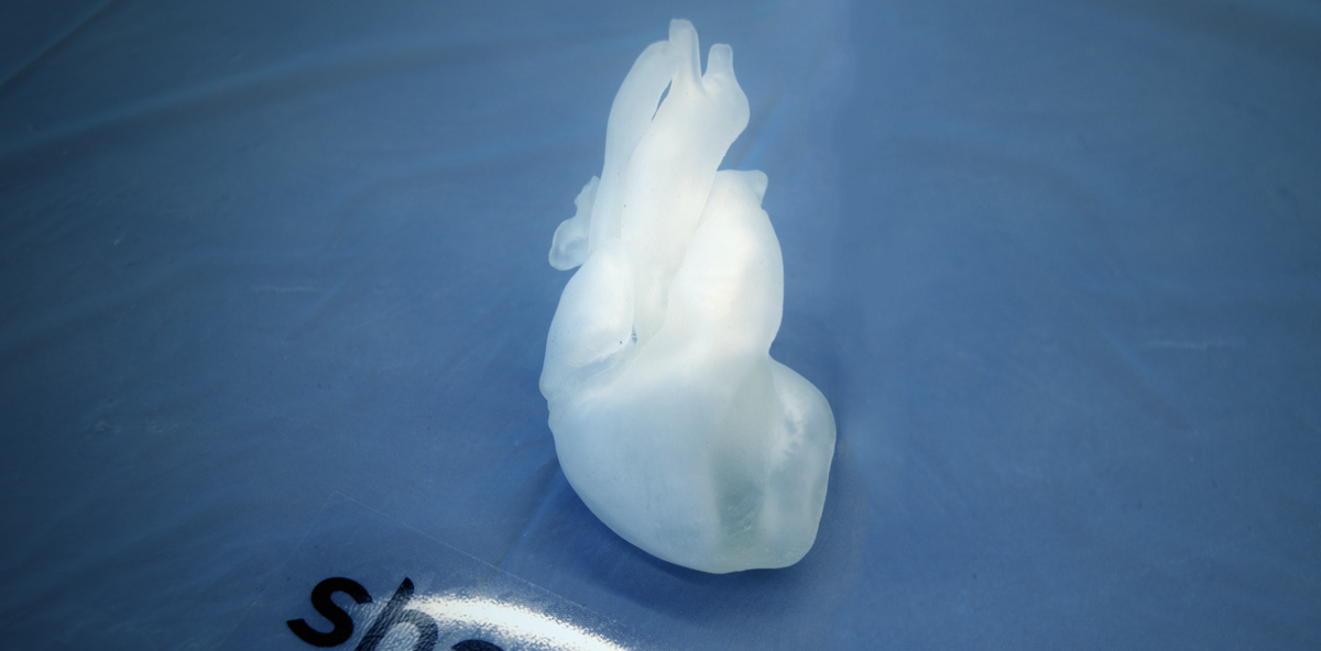 kickstartbuzz's tweet photo. #3DPH #STEM http://t.co/IuAEPhShZE #lean but hit 3 micro-fund goals #FTW! #weekendblastoff @katie_3d_bio+more soon! http://t.co/uv2h7rHrDI