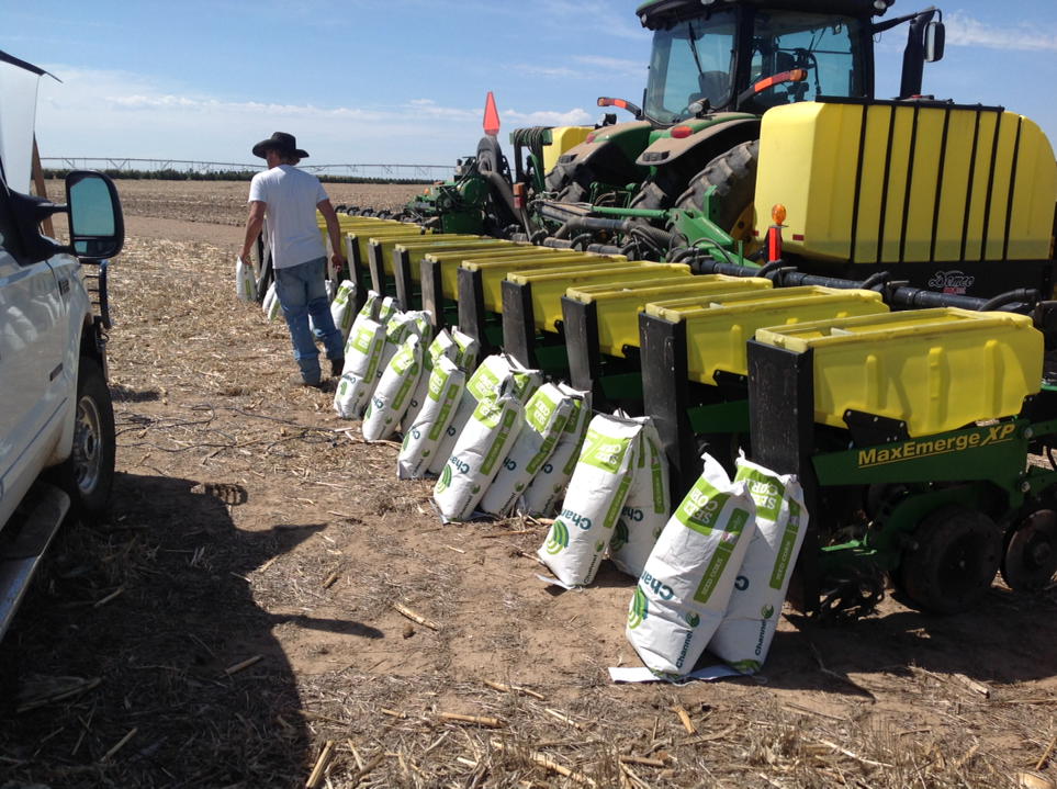 cowsncornag's tweet image. What a beautiful sight! #thankyou #fueszlandnlivestock @Channel_Colo #testplot is ITG now #backtowork