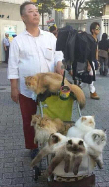 GirlsNoteBook's tweet photo. "Where do you see yourself in 10 years" http://t.co/JSqS1A8pHS