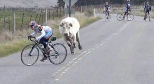 AlbarosaUK's tweet photo. Meanwhile at the Tour de Yorkshire! #Yorkshire #TourDeYorkshire http://t.co/vuOLGUz06n
