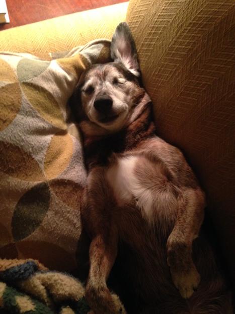 VTombuds's tweet photo. #endofsemester #exhausted #Fridaynight http://t.co/9Ee9k8lLR3