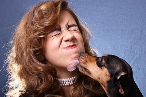 Mx_SmartDogs's tweet image. ¿Porqué mi perro me lame? Descúbrelo en nuestra página de #Facebook goo.gl/oHY14q #LoMejorParaTuMejorAmigo