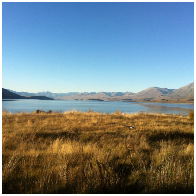 phoebengiew's tweet photo. First run in New Zealand  I just ran 4.22 km with Nike+. #nikeplus http://t.co/EyBgZzJF8m