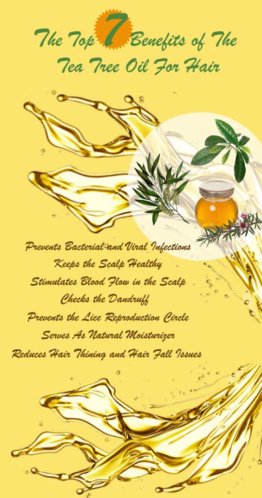 iHealth_Advice's tweet photo. http://t.co/tFeWtj1F2Y
#teatreeoilhair #teatreehairoil #teatreeoilscalp #teatreeoilhairline #teatreeoilhairgrowth http://t.co/5oy0L13u8k