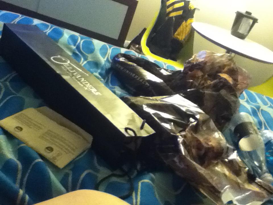 AylaIkol's tweet photo. Having a last for our first day at universal. Can you tell we did some shopping? http://t.co/LrVPiLSN60
