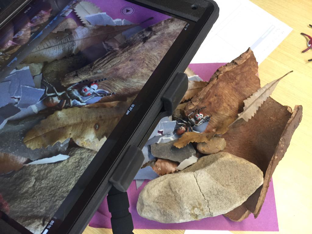 LShenstone's tweet photo. Teaching teachers the art of stop motion animation #enviroed #eecnsw #pluggingintonature http://t.co/8aEkjS97ku