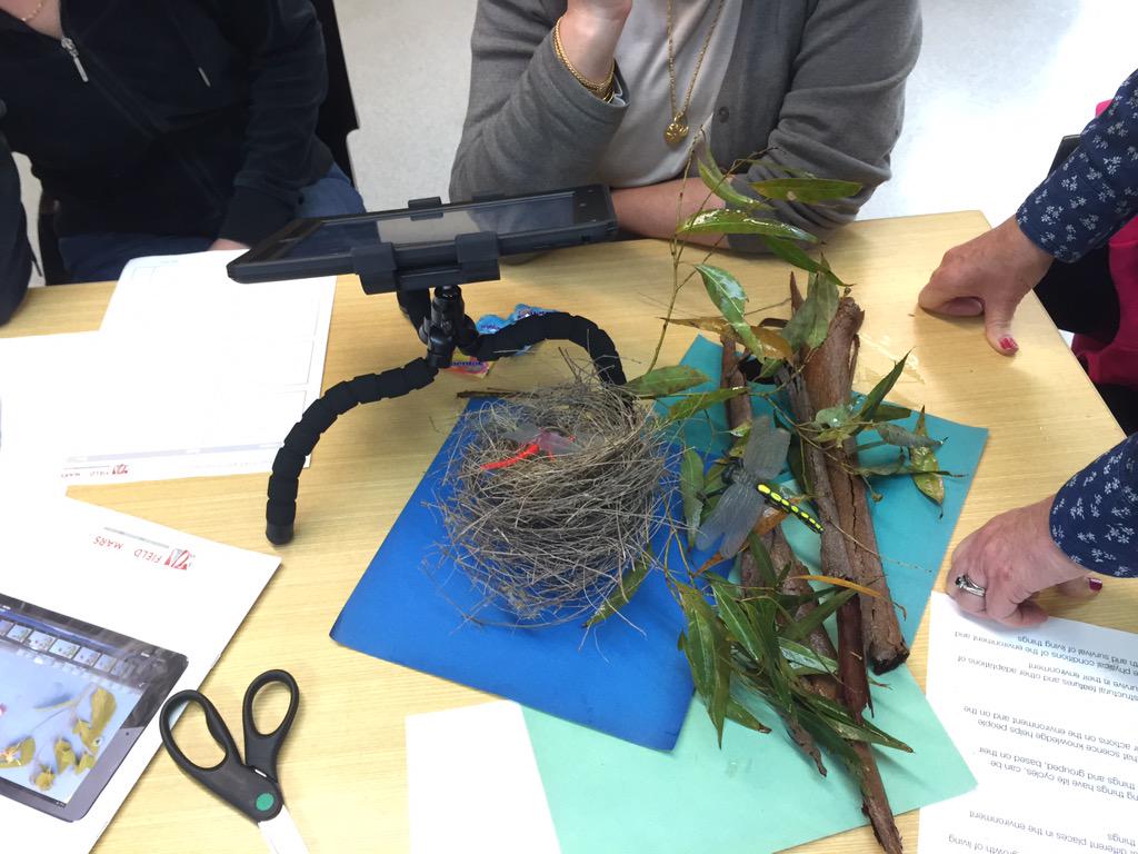 LShenstone's tweet photo. Teaching teachers the art of stop motion animation #enviroed #eecnsw #pluggingintonature http://t.co/8aEkjS97ku