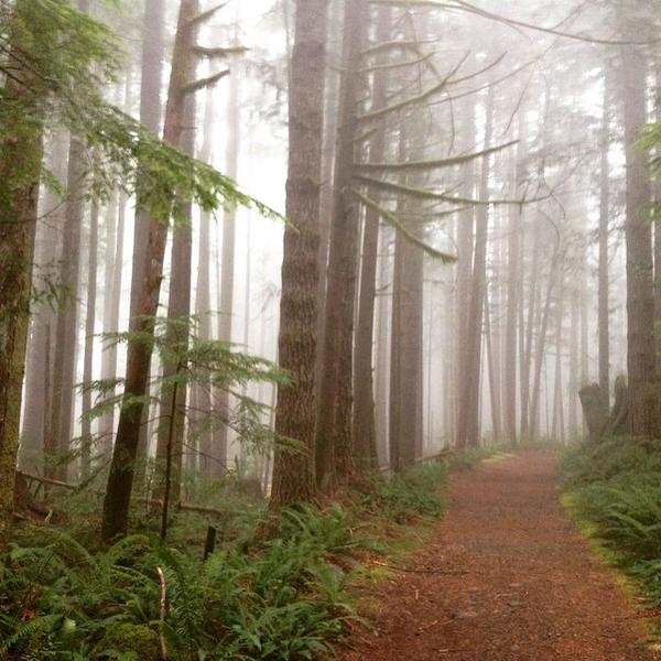thenorthface's tweet photo. RT @FlintSnow: My early morning hike. #neverstopexploring 
http://t.co/Ss6eppJYyE http://t.co/zLIHN8pLX1